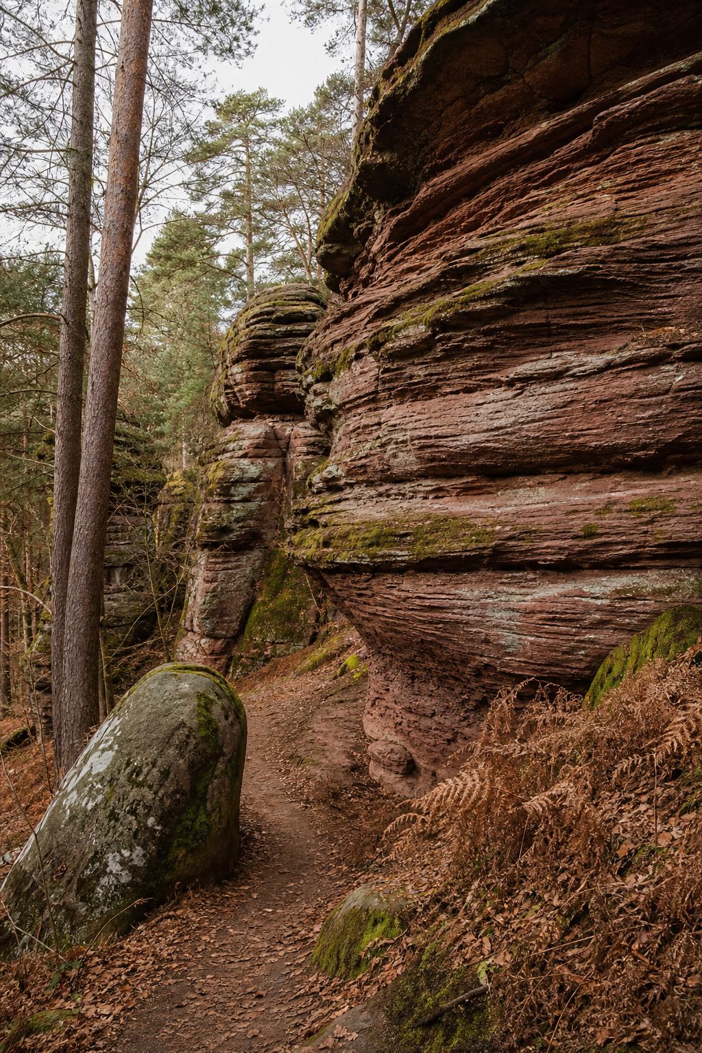 Sandsteinfelsen und Waldpfad im Dahner Felsenland